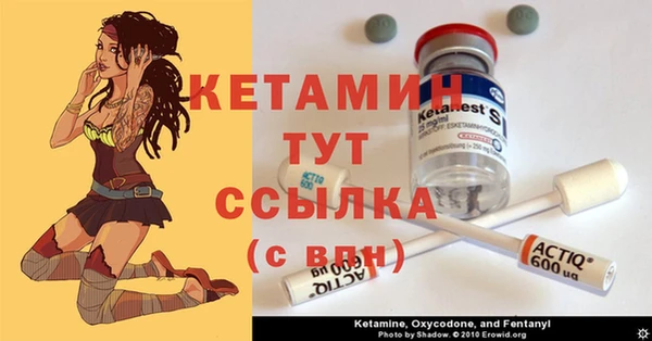 крисы Кодинск