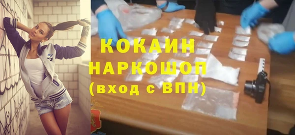 крисы Кодинск