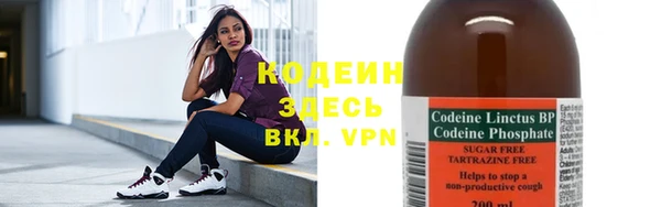 крисы Кодинск