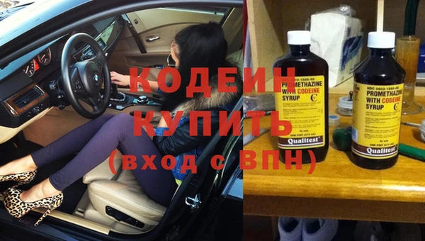 крисы Кодинск