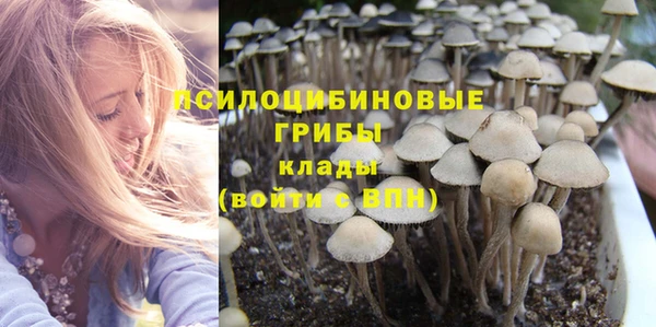 крисы Кодинск