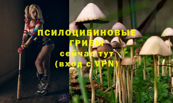 крисы Кодинск