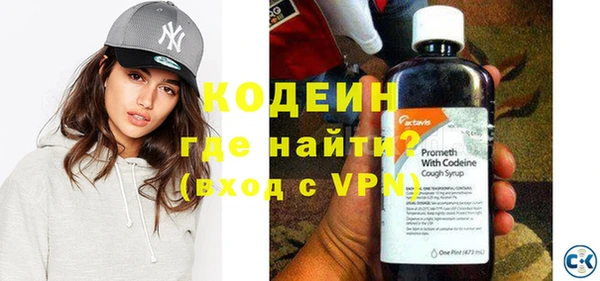 крисы Кодинск